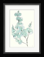 Eucalyptus Branch III Fine Art Print