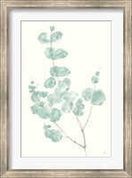 Eucalyptus Branch I Fine Art Print