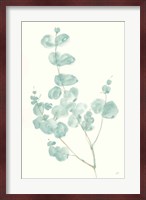 Eucalyptus Branch I Fine Art Print