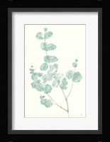 Eucalyptus Branch I Fine Art Print