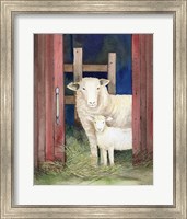Farm Family Sheep Fine Art Print