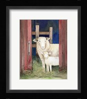 Farm Family Sheep Framed Print