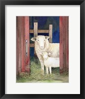 Farm Family Sheep Fine Art Print