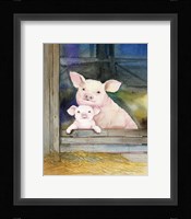 Farm Family Pigs Framed Print