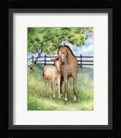 Farm Family Horses Framed Print