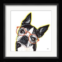 Bespectacled Pet IV Framed Print