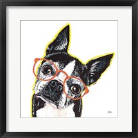 Bespectacled Pet IV Framed Print