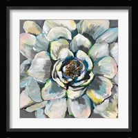 Bloom III Fine Art Print