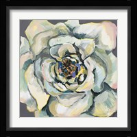 Bloom I Fine Art Print