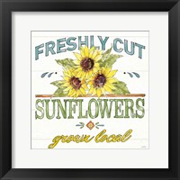 Sunflower Fields III Fine Art Print