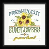 Sunflower Fields III Framed Print