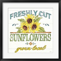 Sunflower Fields III Fine Art Print