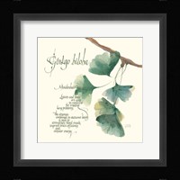 Ginkgo Biloba Fine Art Print