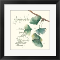 Ginkgo Biloba Fine Art Print