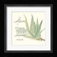 Aloe Vera Fine Art Print