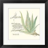 Aloe Vera Fine Art Print