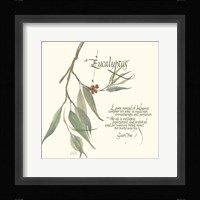 Eucalyptus Fine Art Print