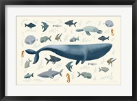 Ocean Life Fine Art Print