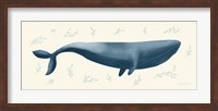 Ocean Life Whale Fine Art Print