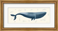 Ocean Life Whale Fine Art Print