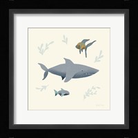 Ocean Life Shark Framed Print