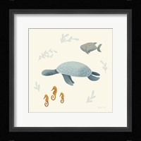 Ocean Life Sea Turtle Framed Print
