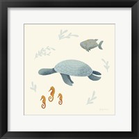 Ocean Life Sea Turtle Framed Print