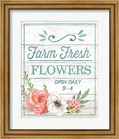 Pastel Flower Market IV Fine Art Print