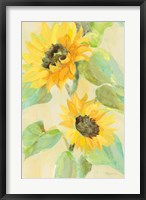 Sunny Blooms Fine Art Print