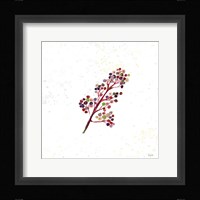 Botticelli Plants IV Framed Print