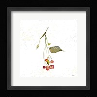 Botticelli Plants III Framed Print