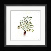 Botticelli Plants II Framed Print