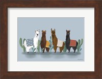Delightful Alpacas V Fine Art Print