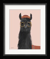 Delightful Alpacas IV Framed Print