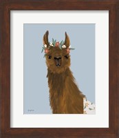 Delightful Alpacas II Fine Art Print