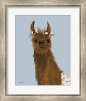 Delightful Alpacas II Fine Art Print