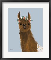 Delightful Alpacas II Framed Print