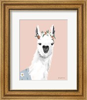 Delightful Alpacas I Fine Art Print