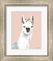 Delightful Alpacas I Fine Art Print