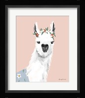 Delightful Alpacas I Framed Print