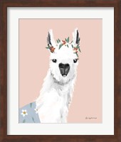 Delightful Alpacas I Fine Art Print