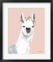 Delightful Alpacas I Framed Print