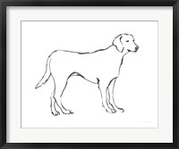 Ink Dog I Framed Print