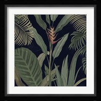 Dramatic Tropical II Light Fine Art Print