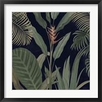 Dramatic Tropical II Light Fine Art Print