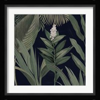 Dramatic Tropical I Light Framed Print