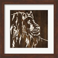 White Lion on Dark Wood Fine Art Print
