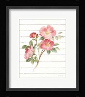 Sprigs of Summer II Framed Print