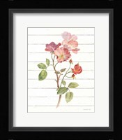 Sprigs of Summer I Framed Print