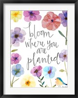 Bloom Where You Are Planted Fine Art Print